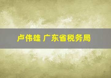 卢伟雄 广东省税务局